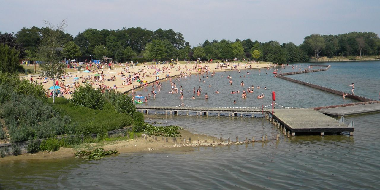 Vijver en strand De Nekker 2