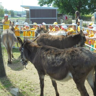 Themakampen boerderij